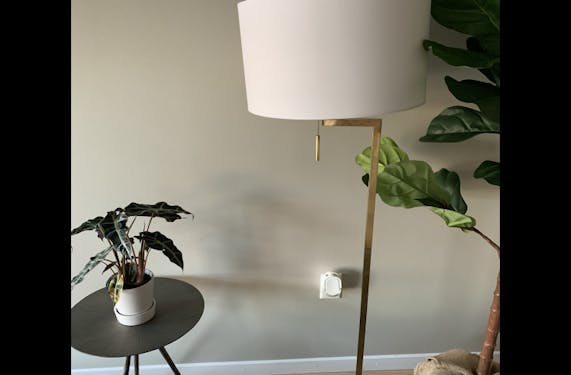Juno Floor Lamp Joybird