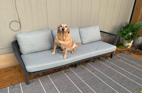 Catalina Outdoor Sofa Joybird