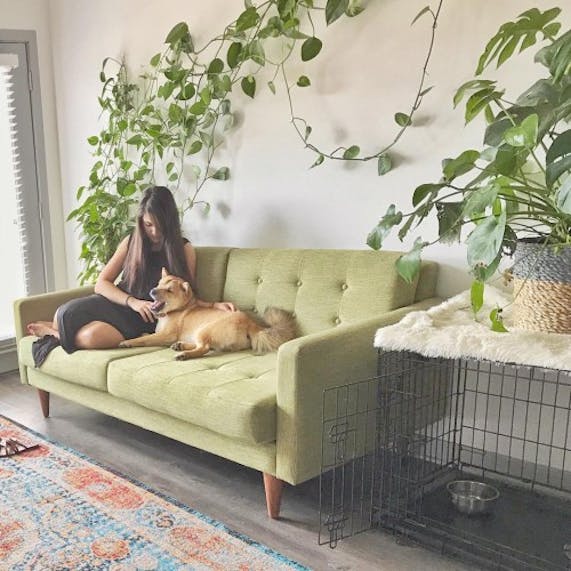 Eliot Loveseat Joybird