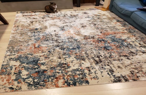 Teagan Rug Joybird