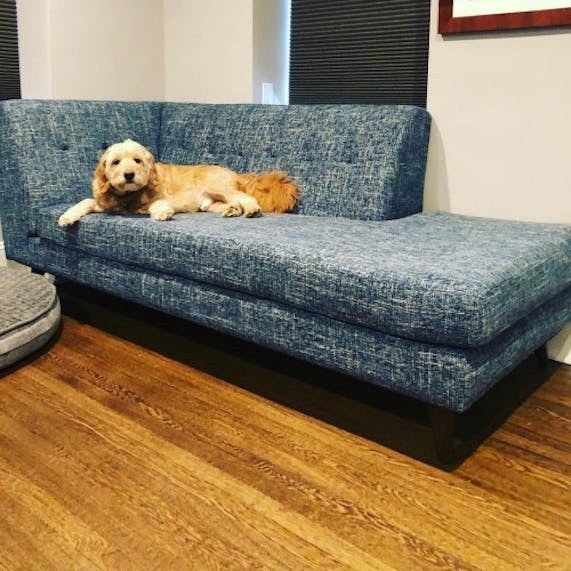 Hughes Bumper Chaise Joybird