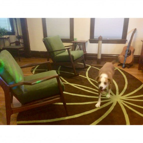 Paley Rocking Chair Joybird