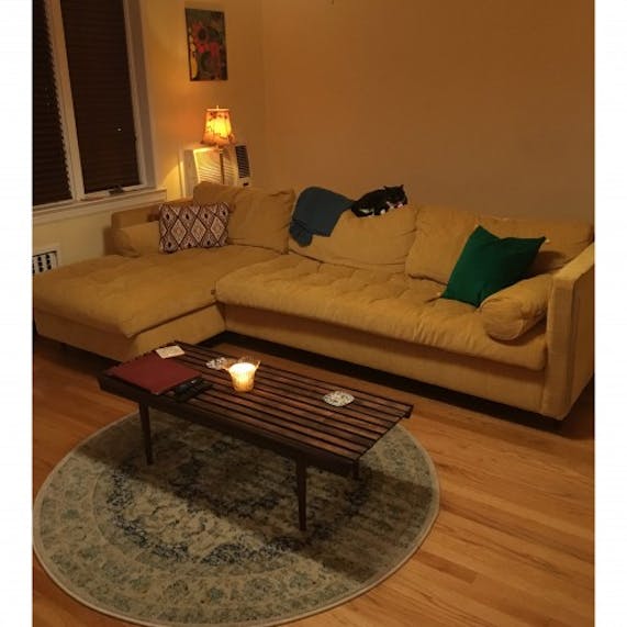 Lind (Green) Pillow Joybird