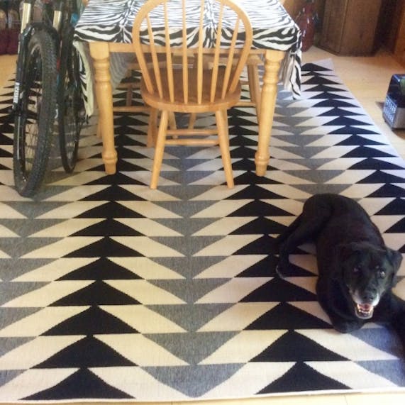 Newburgh Rug Joybird