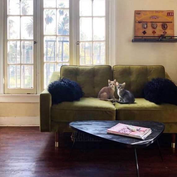 Holloway Apartment Sofa Joybird