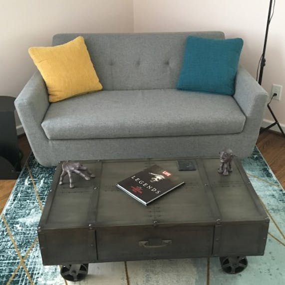 Hughes Twin Sleeper Joybird