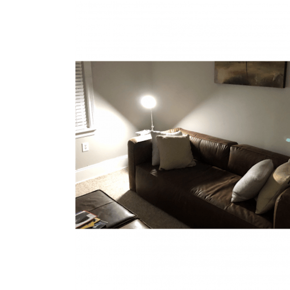 Jaxon Leather Sofa Joybird