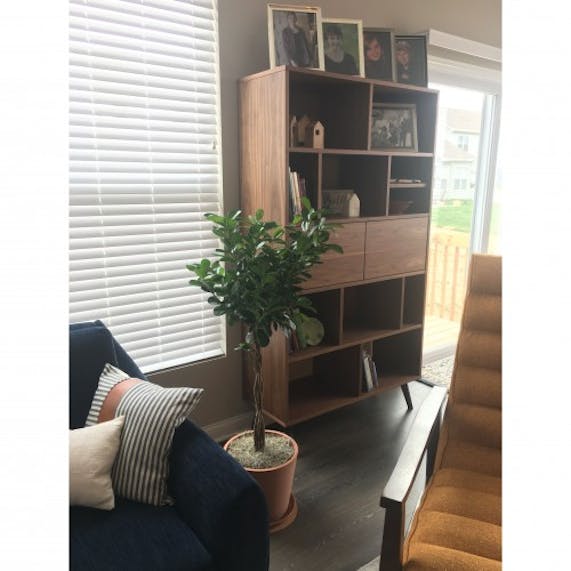 Hazel Bookcase Joybird